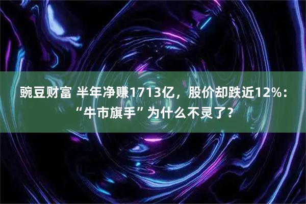豌豆财富 半年净赚1713亿，股价却跌近12%：“牛市旗手”为什么不灵了？